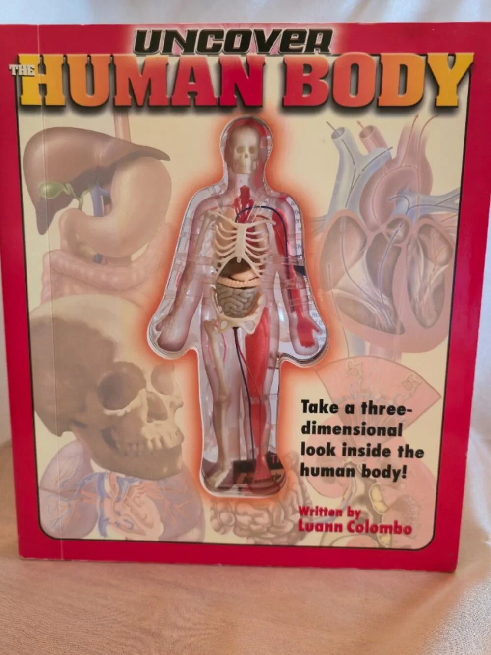 BOOK UNCOVER THE HUMAN BODY 2002 by LUANN COLUMBO
